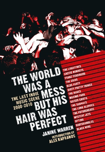 The World Was a Mess But His Hair Was Perfect - The Last Indie Music Scene 2000-2010