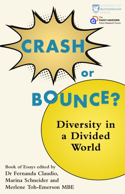 Crash or Bounce - Diversity in a Divided World
