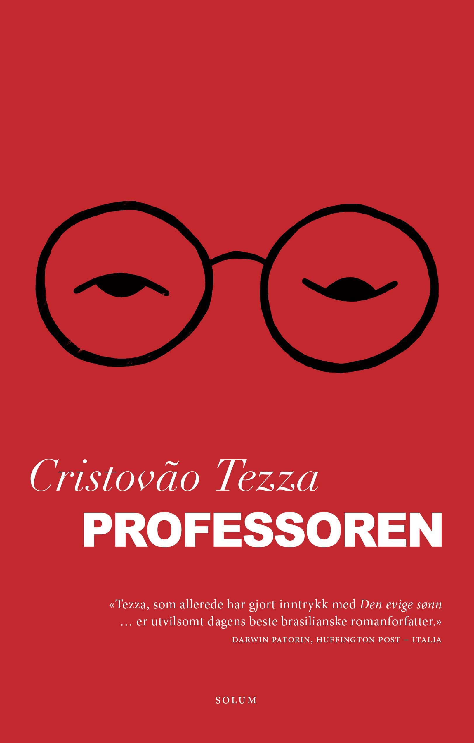 Professoren - roman