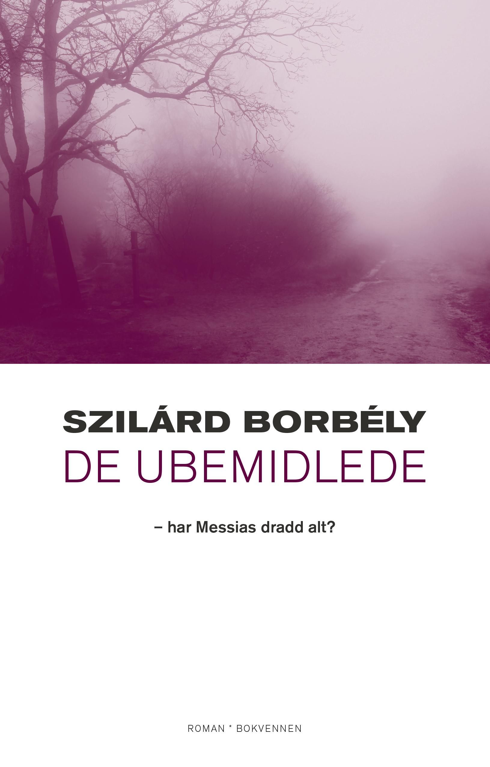 De ubemidlede