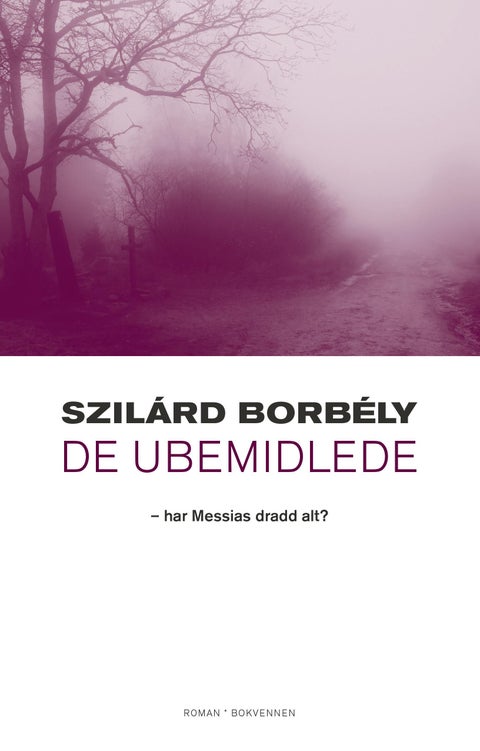 De ubemidlede - har Messias dradd alt? : roman
