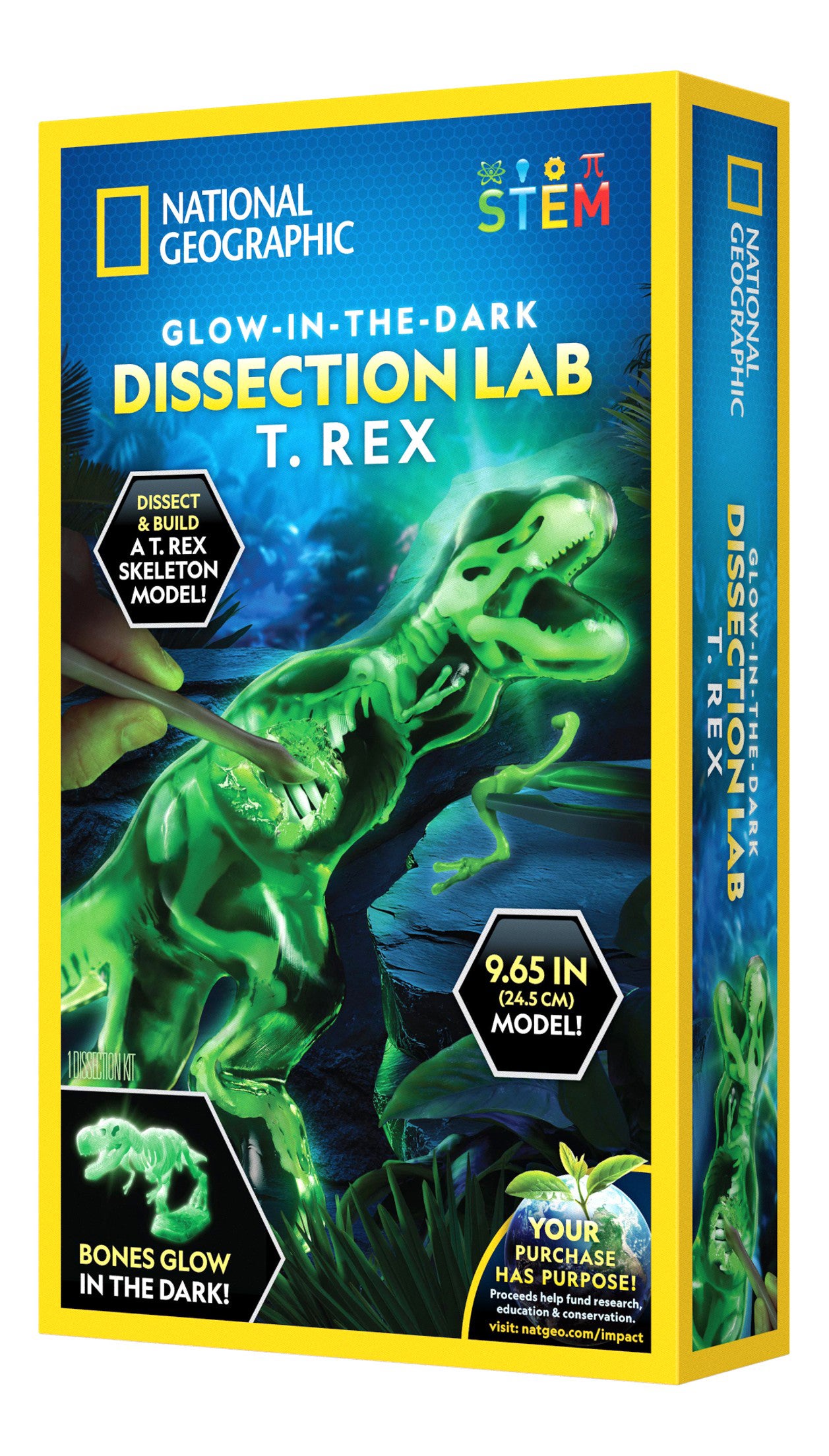Nat Geograph Dissection Lab T Rex