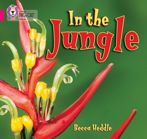 In the Jungle - Band 01b/Pink B