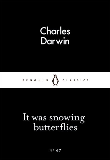 It Was Snowing Butterflies - Penguin Little Black Classics