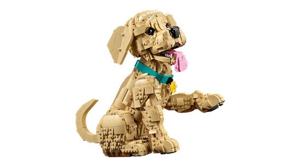 Lego Golden retriever-valp 11384