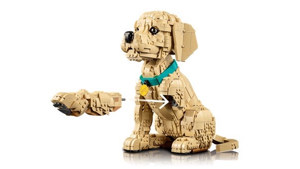 Lego Golden retriever-valp 11384