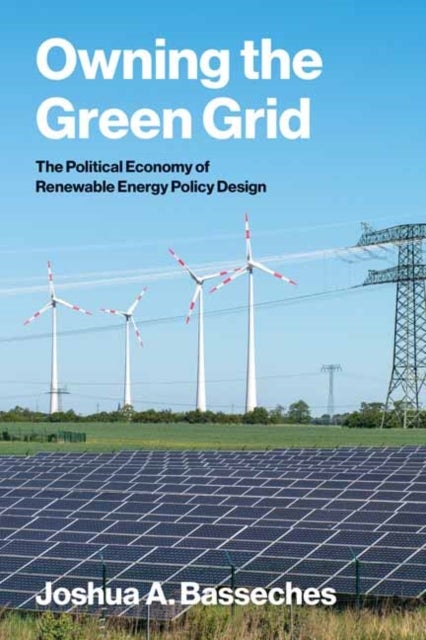 Owning the Green Grid - The Political Economy of Renewable Energy Policy Design
