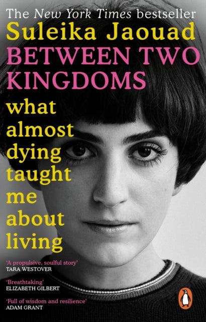 Between Two Kingdoms - What almost dying taught me about living