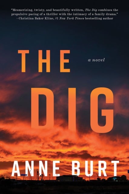 The Dig - A Novel