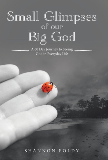 Small Glimpses of Our Big God - A 60 Day Journey to Seeing God in Everyday Life