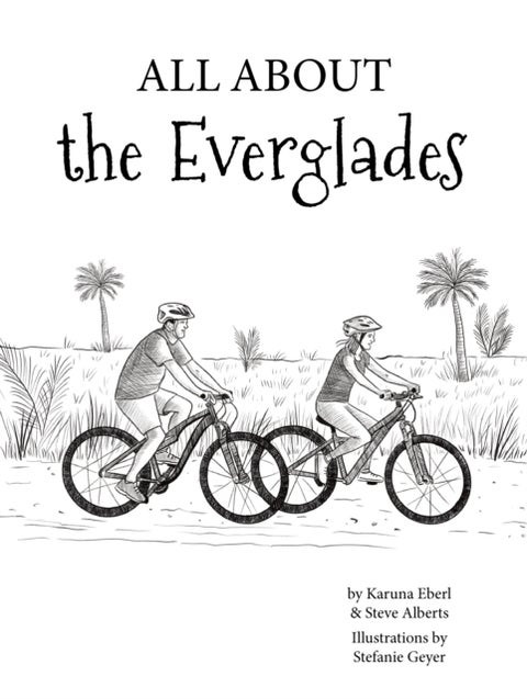 All About the Everglades