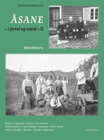 Åsane - i fortid og nåtid : II : slektshistorie