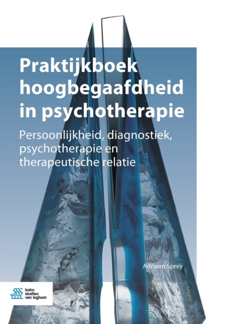 Praktijkboek Hoogbegaafdheid in Psychotherapie - Persoonlijkheid, Diagnostiek, Psychotherapie En Therapeutische Relatie