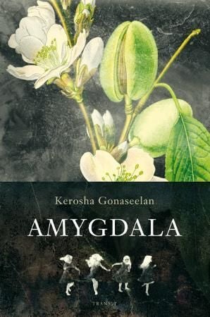 Amygdala - roman