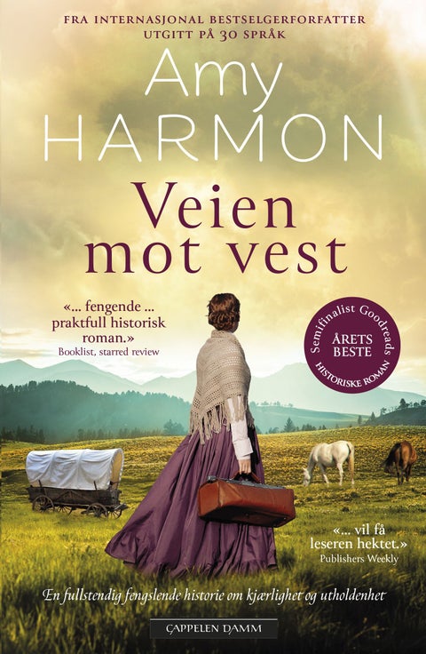 Veien mot vest
