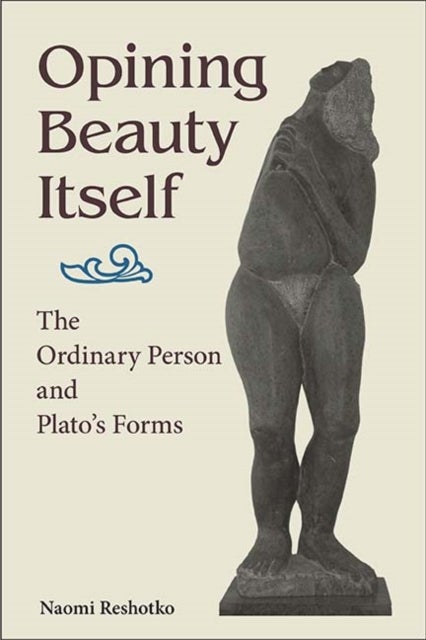Opining Beauty Itself - The Ordinary Person and Plato's Forms
