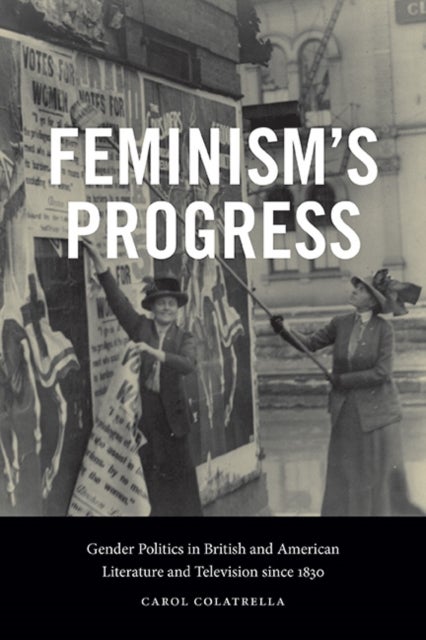 Feminism's Progress - Gender Politics in British and American Literature and Television since 1830