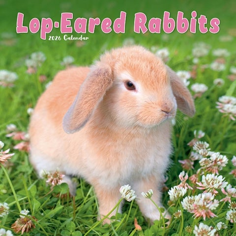 Kalender 2026 30x30 Lop-Eared Rabbits