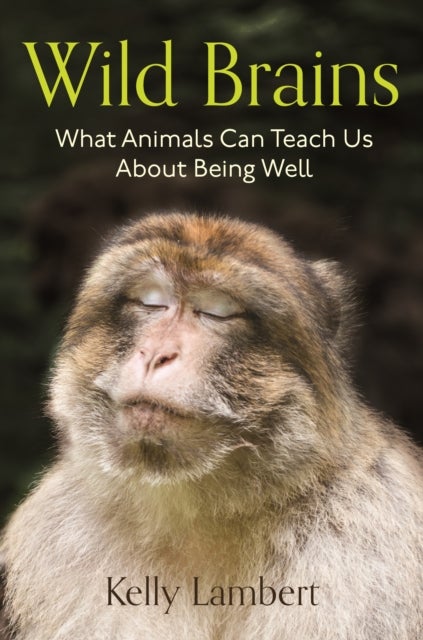 Wild Brains - What Animals Can Teach Us About Being Well