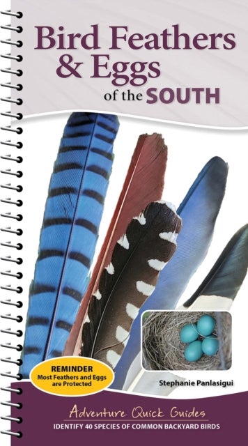 Bird Feathers & Eggs of the South - Identify 40 Species of Common Backyard Birds