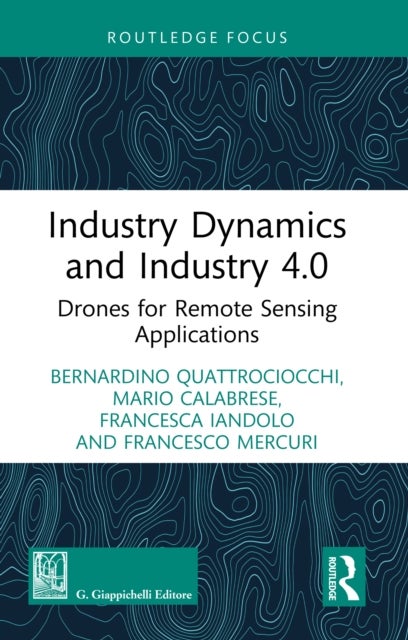 Industry Dynamics and Industry 4.0 - Drones for Remote Sensing Applications