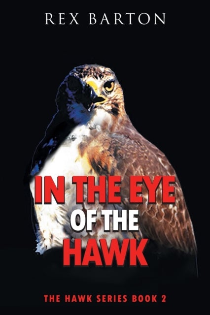 In The Eye Of The Hawk - The Hawk Series Book 2