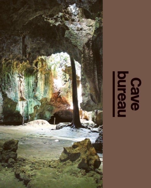Cave bureau - The Architect’s Studio