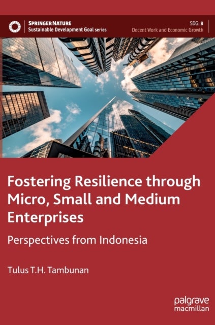 Fostering Resilience through Micro, Small and Medium Enterprises - Perspectives from Indonesia
