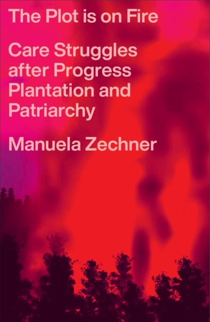 The Plot is on Fire - Care Struggles after Progress, Plantation and Patriarchy