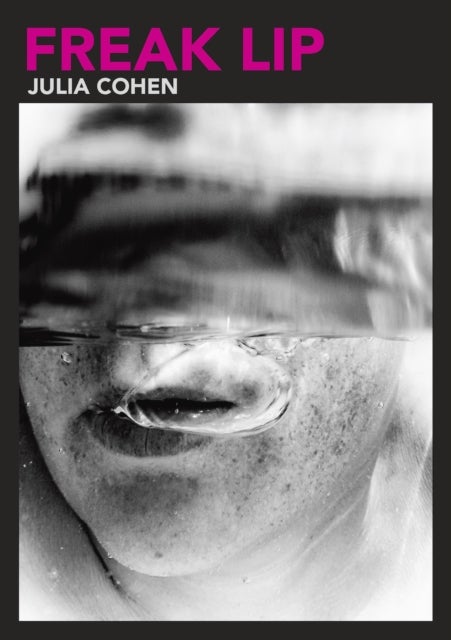 Freak Lip, Volume 5 - Essays of the Unsaid