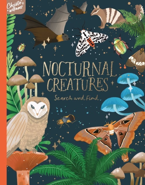 Nocturnal Creatures Search and Find - Search and Find Book