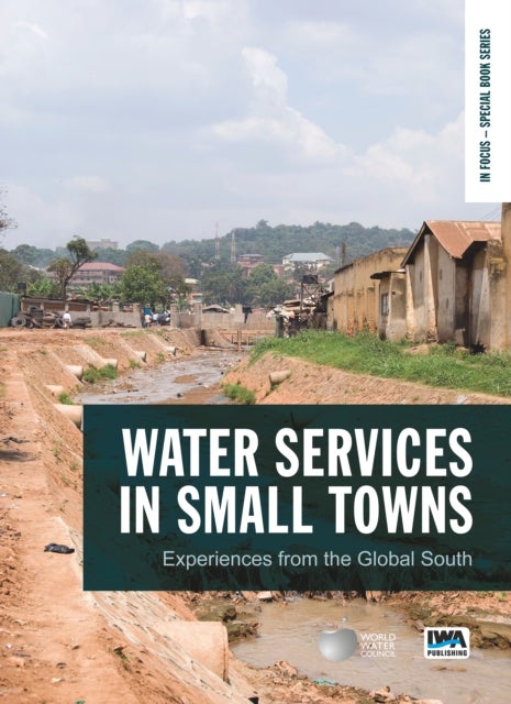 Water Services in Small Towns - Experiences from the Global South