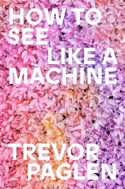 How to See Like a Machine - Images After AI