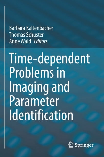 Time-dependent Problems in Imaging and Parameter Identification