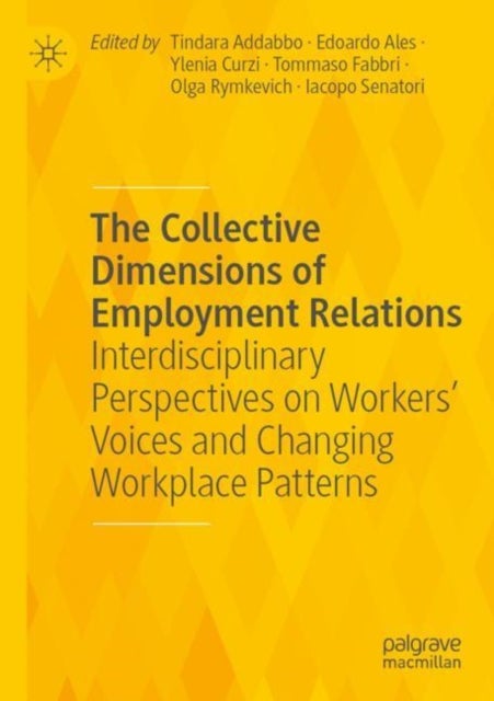 The Collective Dimensions of Employment Relations - Interdisciplinary Perspectives on Workers’ Voices and Changing Workplace Patterns