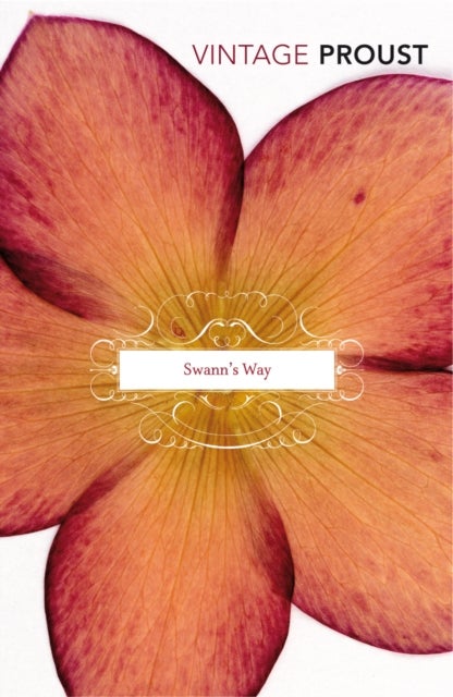 In Search Of Lost Time Vol 1 - Swann's Way