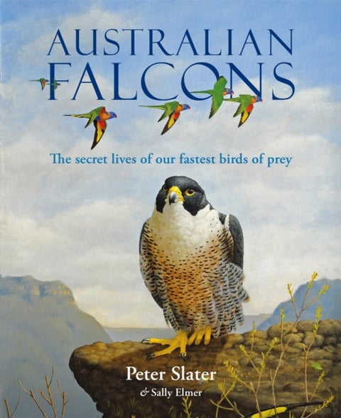 Australian Falcons - The secret lives of our fastest birds of prey