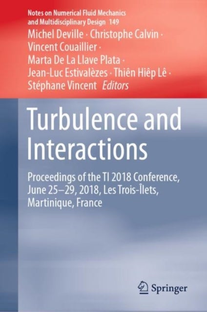 Turbulence and Interactions - Proceedings of the TI 2018 Conference, June 25-29, 2018, Les Trois-Ilets, Martinique, France