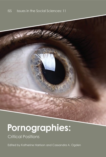 Pornographies - Critical Positions
