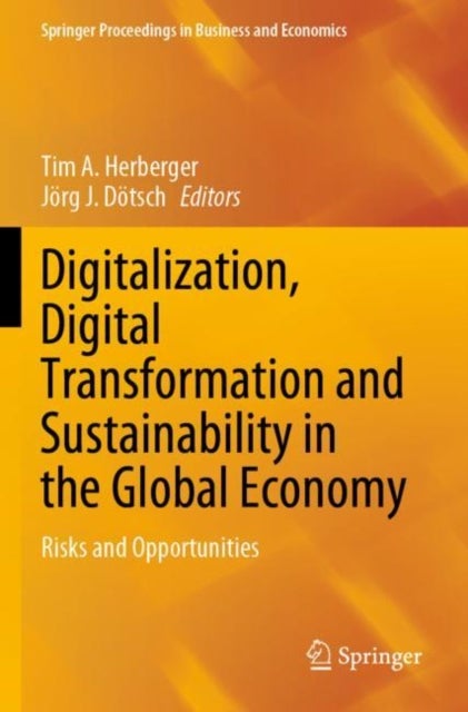 Digitalization, Digital Transformation and Sustainability in the Global Economy - Risks and Opportunities