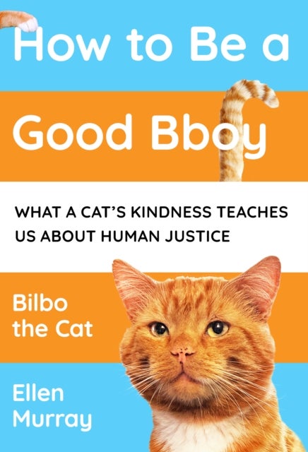 How to be a Good Bboy - What a cat’s kindness teaches us about human justice