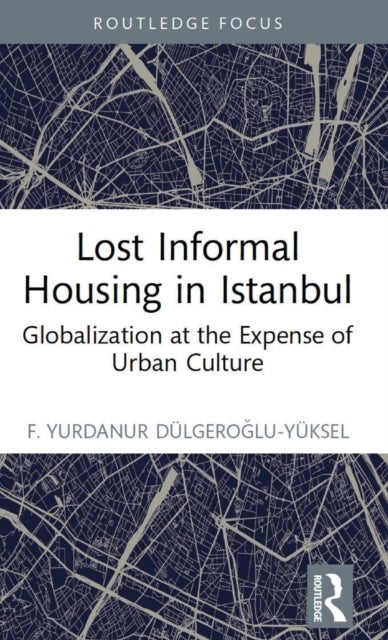 Lost Informal Housing in Istanbul - Globalization at the Expense of Urban Culture