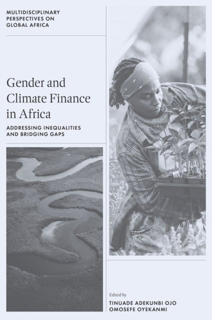 Gender and Climate Finance in Africa