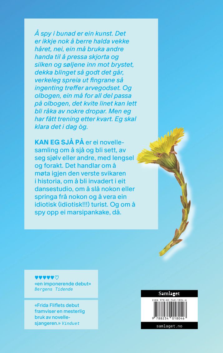 Kan eg sjå på