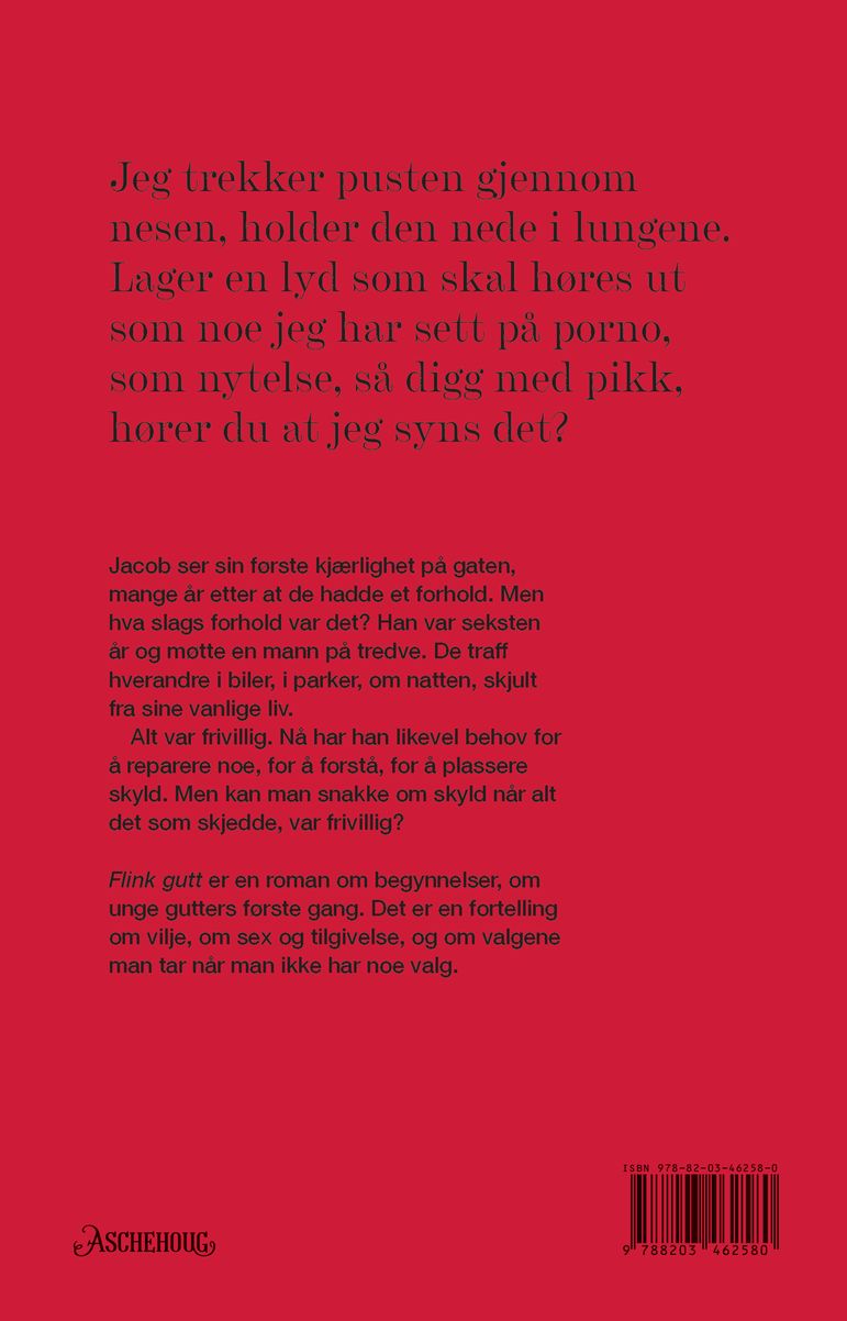 Flink gutt