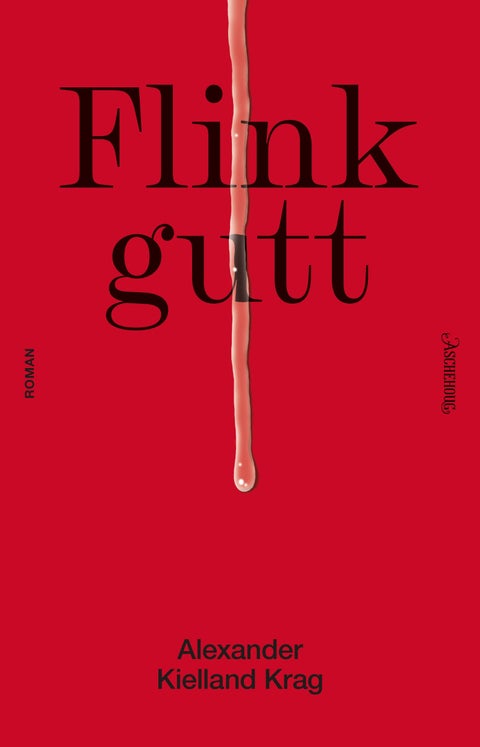 Flink gutt - roman