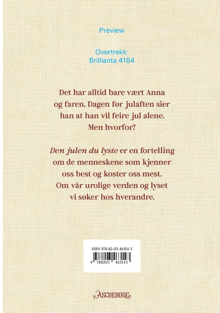 Den julen du lyste