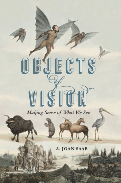 Objects of Vision - Making Sense of What We See