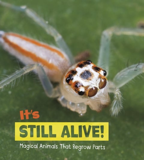 It's Still Alive! - Magical Animals That Regrow Parts