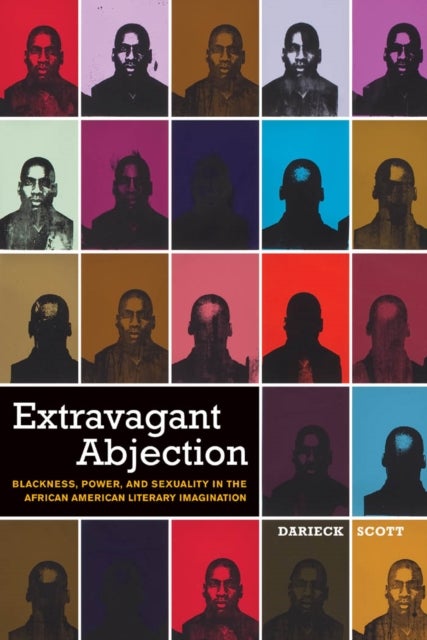 Extravagant Abjection - Blackness, Power, and Sexuality in the African American Literary Imagination
